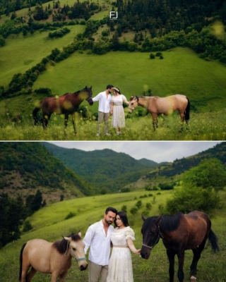 تیم حرفه ای